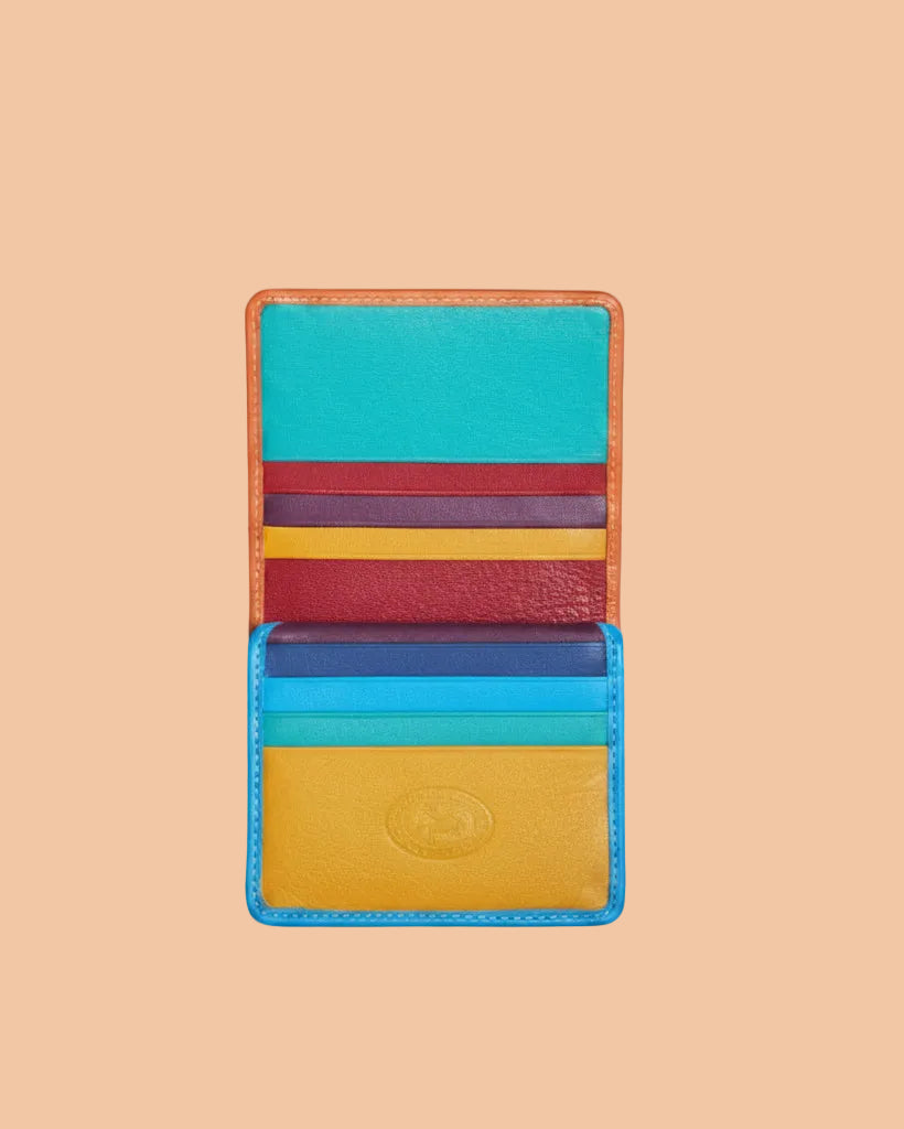 Figus Portacarte pelle multicolor 7952