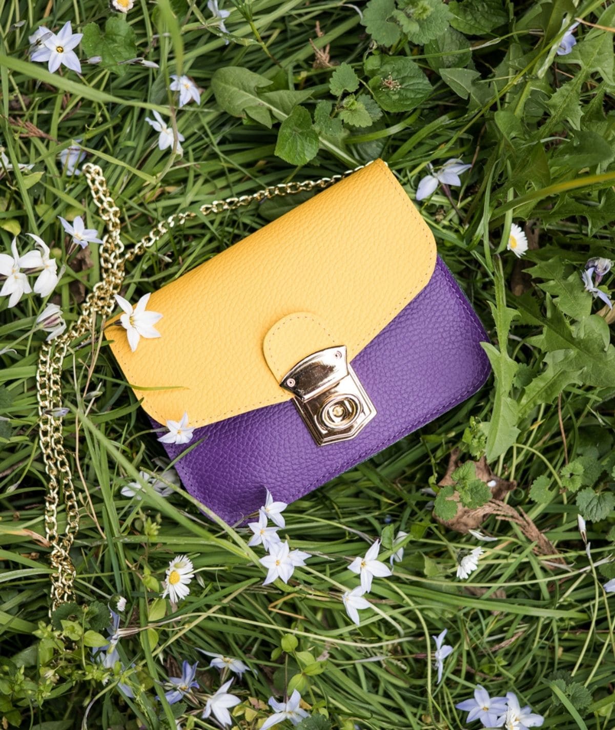 #colore_giallo e viola